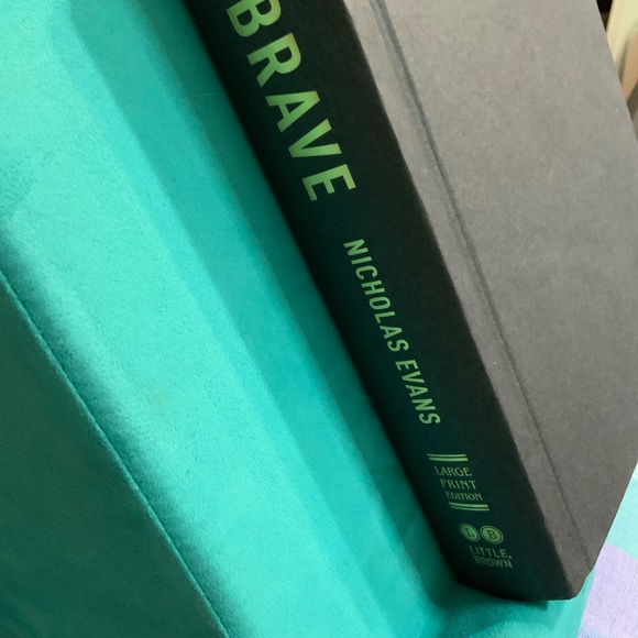 The Brave by Nicholas Evans - Hardback Book - Author of The Horse Whisperer - Picture 7 of 12